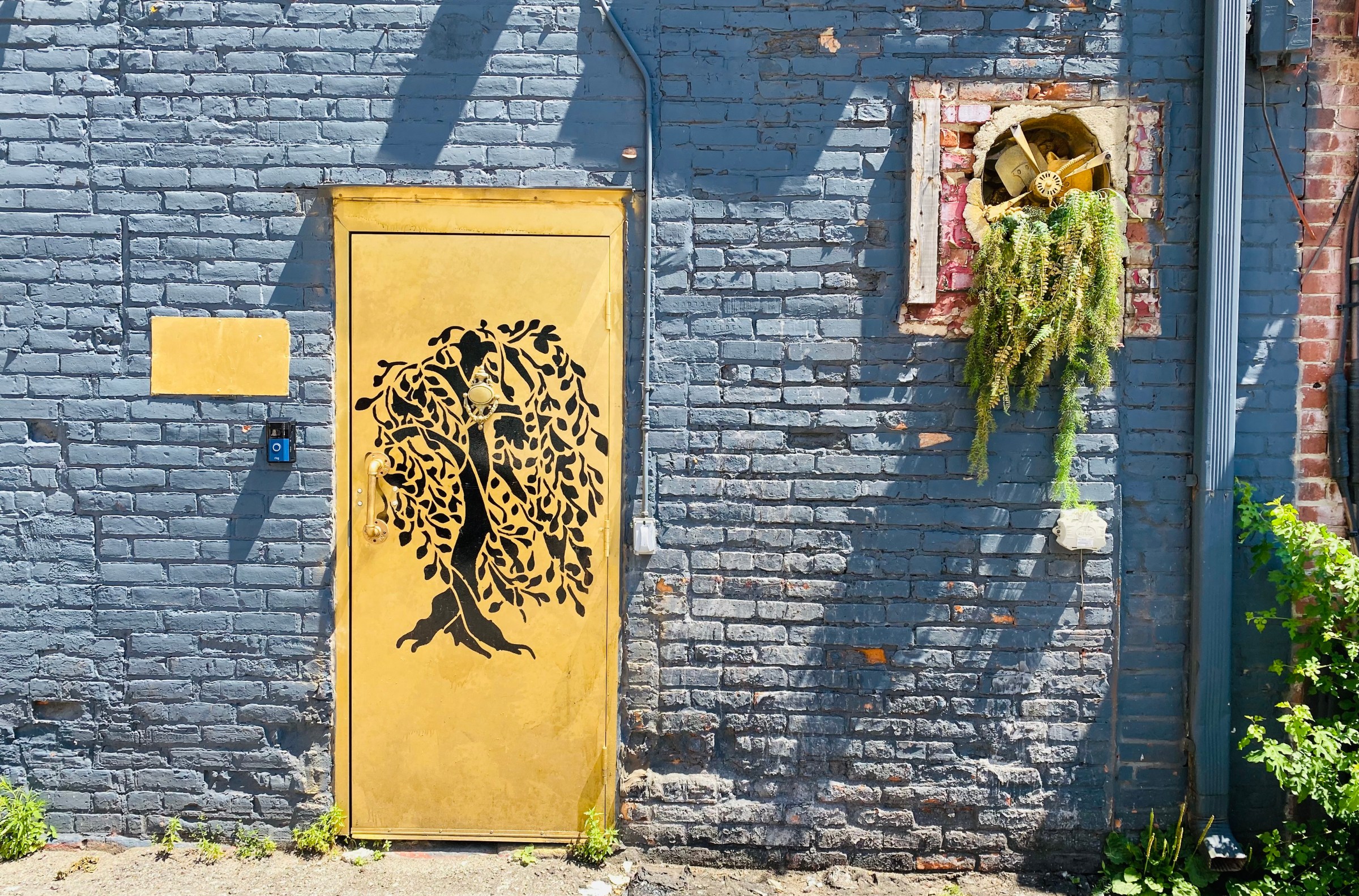 Detroit Gets Its First Black-Owned Speakeasy Bar, Willow, Downtown