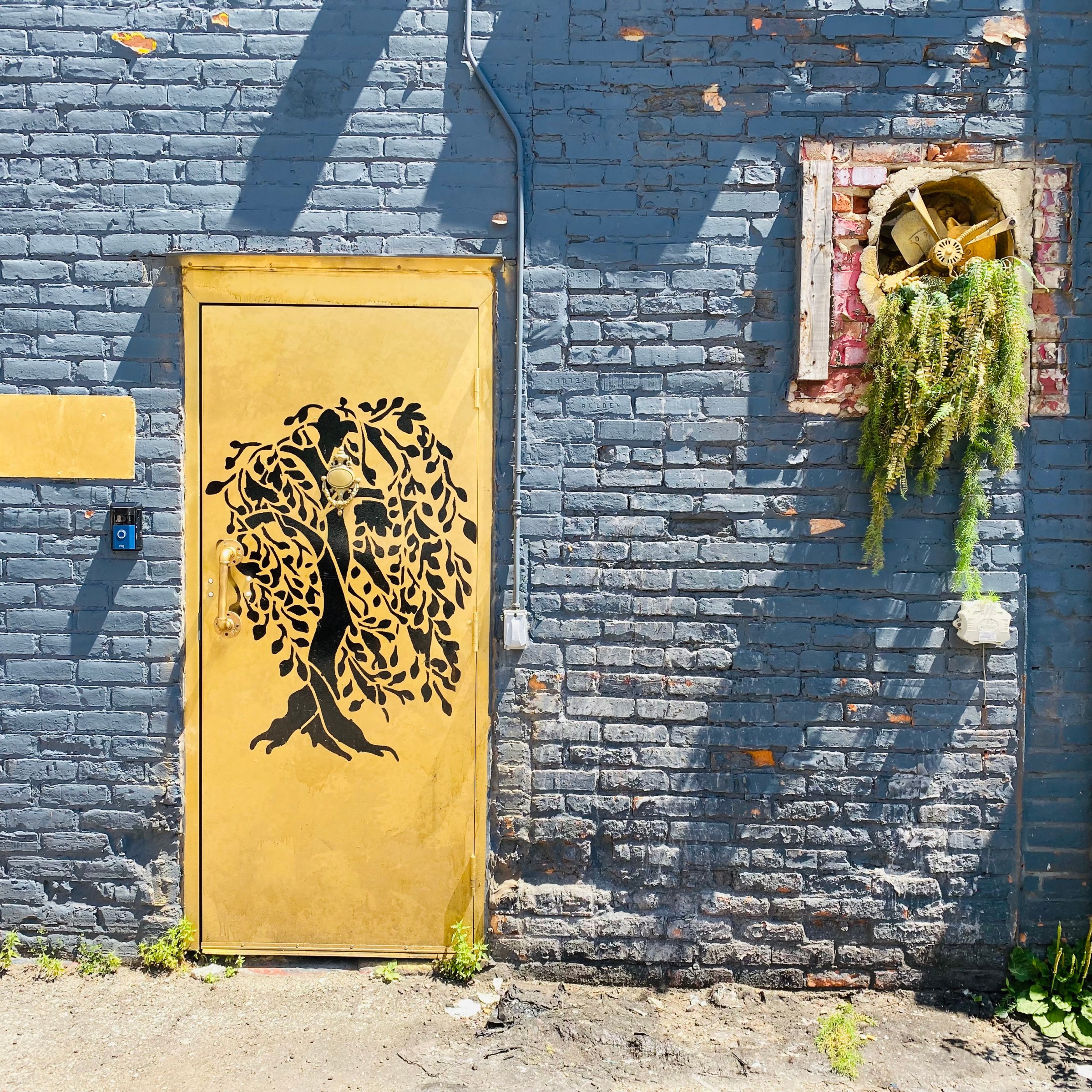 Detroit Gets Its First Black-Owned Speakeasy Bar, Willow, Downtown